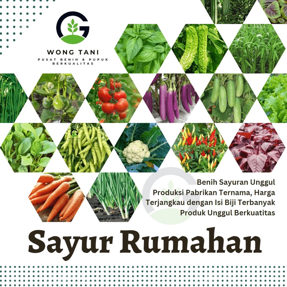 Jual Bibit Sayuran Benih Sayur Paket Lengkap Tanaman Hidroponik