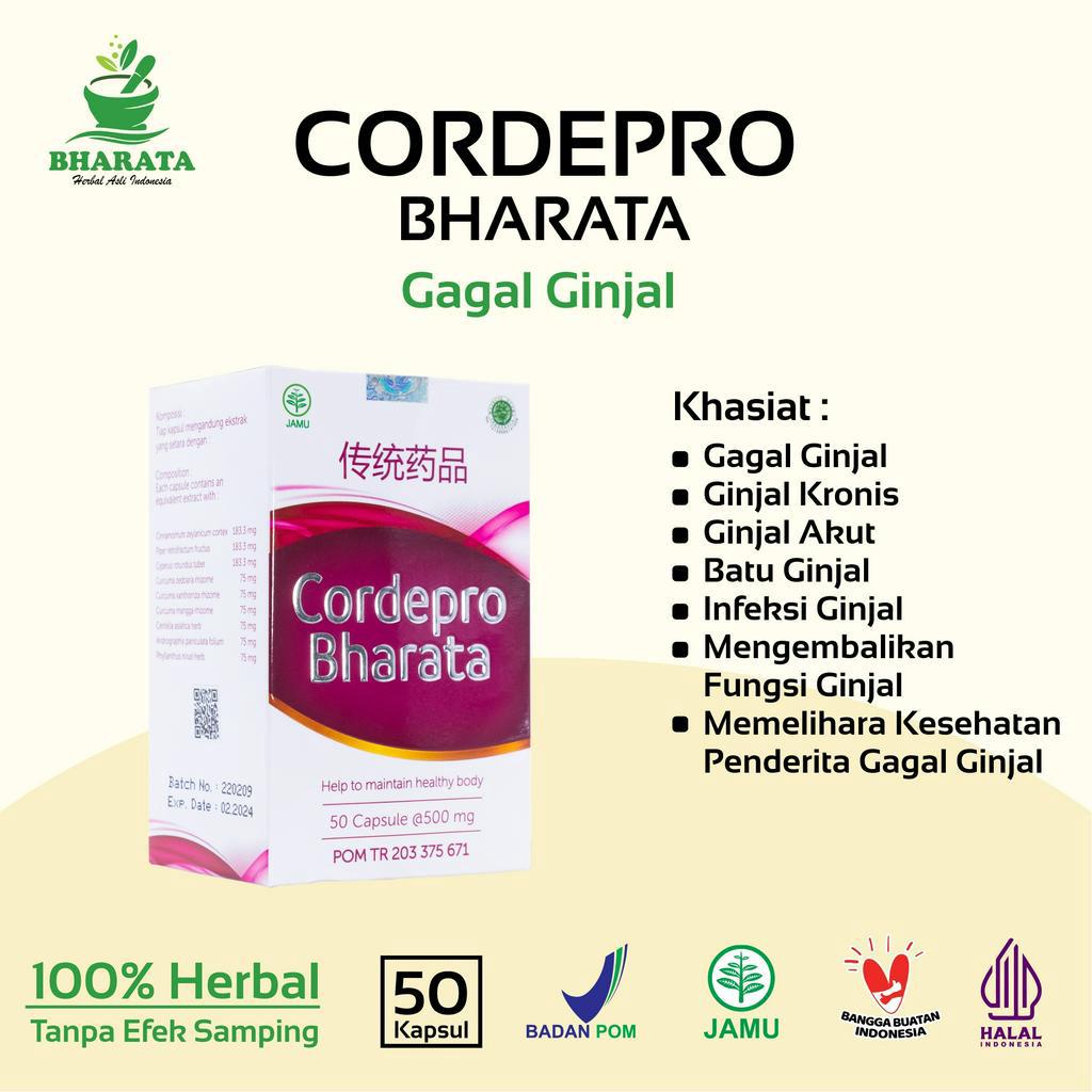 Jual Obat Ginjal Cordepro Bharata Obat Gagal Ginjal Prostat Batu