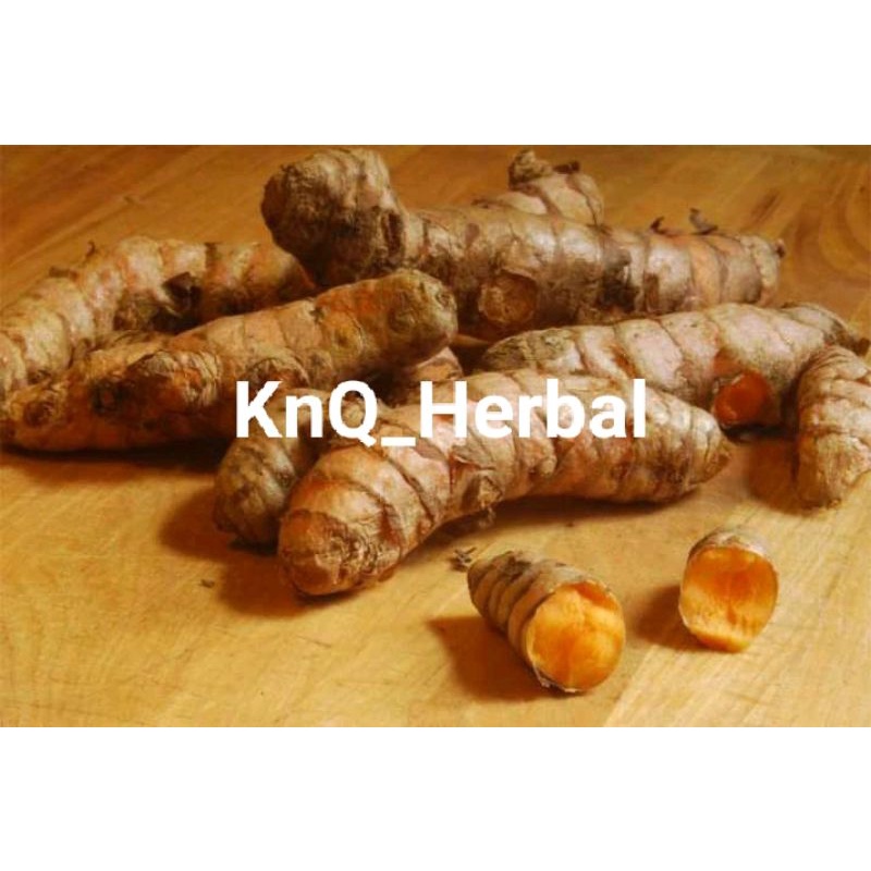 Jual Kunyit Super Segar Bersih Asli Original 1kg Shopee Indonesia