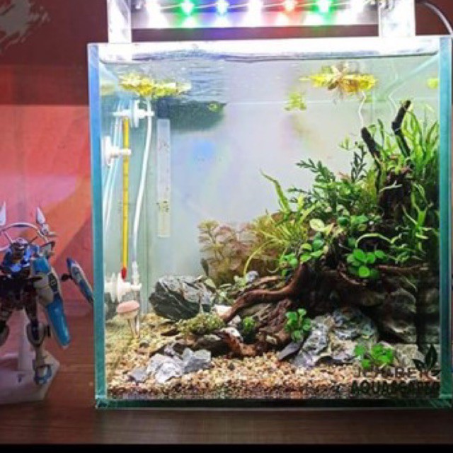 Jual AQUASCAPE FULLSET Shopee Indonesia