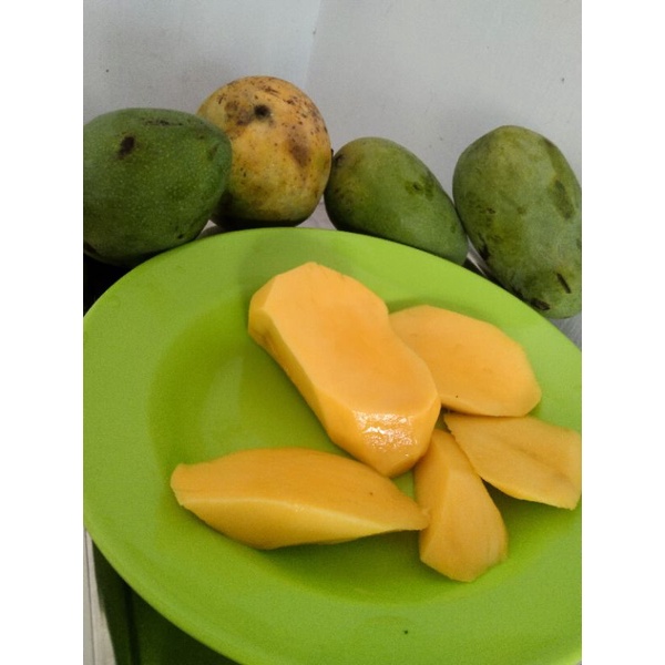 Jual Buah Mangga Harum Manis Berat Kg Pengiriman Dari Medan