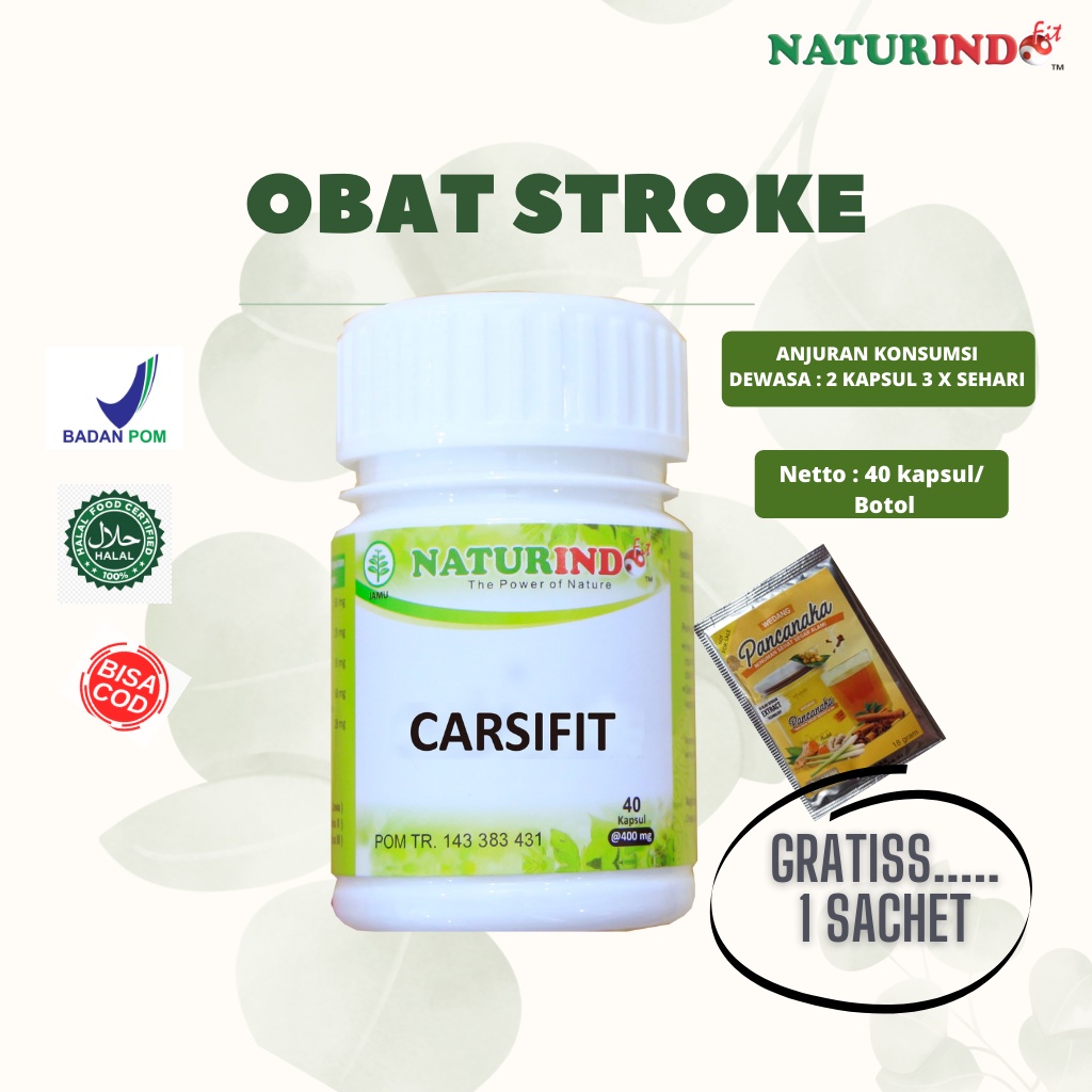 Jual Obat Struk Obat Stroke Herbal Struk Herbal Stroke Obat Lumpuh