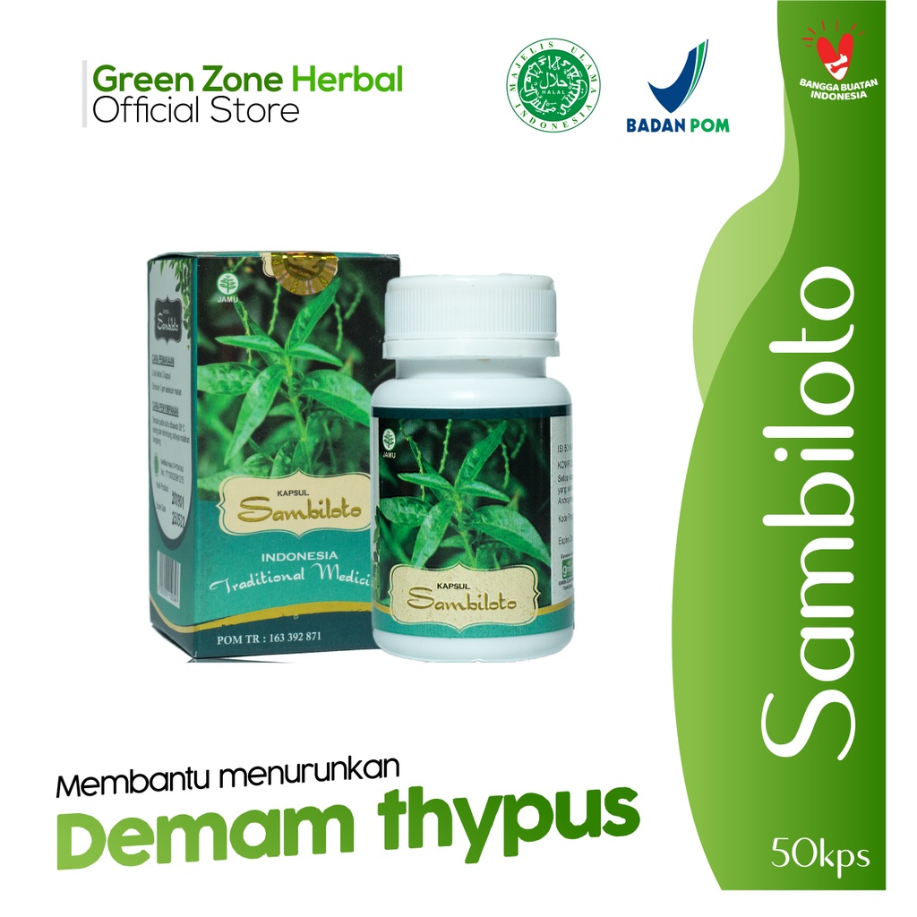 Jual Sambiloto Herbal Tipes Thypus Demam Antibiotik Alami Tipes Thypus