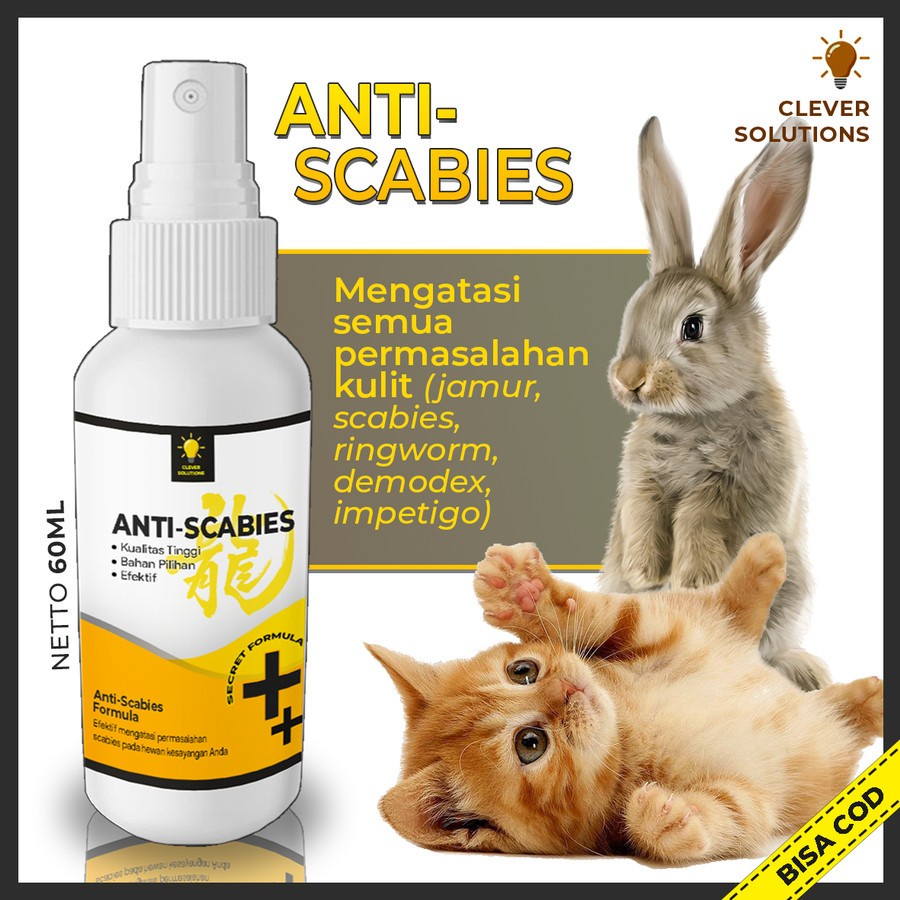 Jual Anti Scabies Obat Jamur Kucing Obat Kulit Scabies Demodex Impetigo