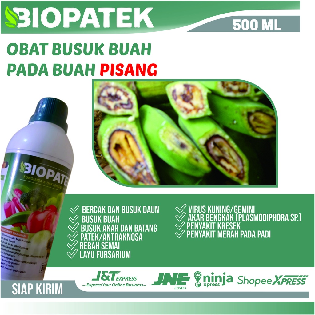 Jual Obat Buah Pisang Agar Tidak Busuk Biopatek Ml Paten