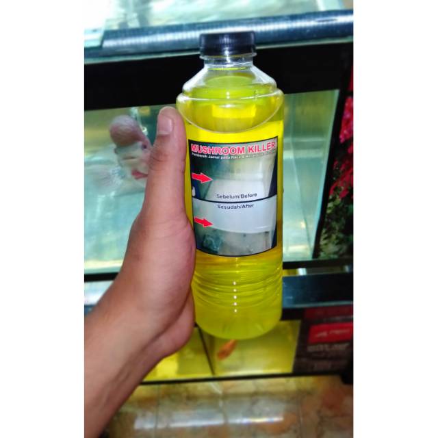 Jual ObAt Cairan Pembersih Kerak Jamur 500ml Pada Kaca Aquarium