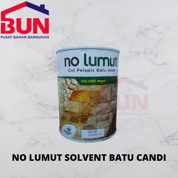 Jual Avian NO LUMUT 1KG Solvent Based Cat Vernish Coating Pelapis Batu