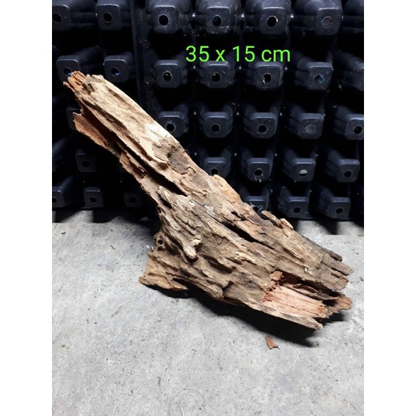 Jual Kayu Rentek Size L Aquascape Paludarium Dekorasi Hiasan Aquarium