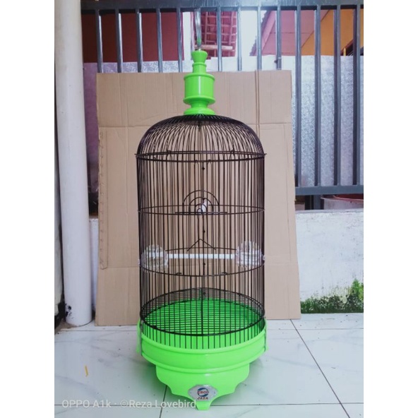 Jual Sangkar Lovebird Ebod Jaya Ruji Dragon Shopee Indonesia