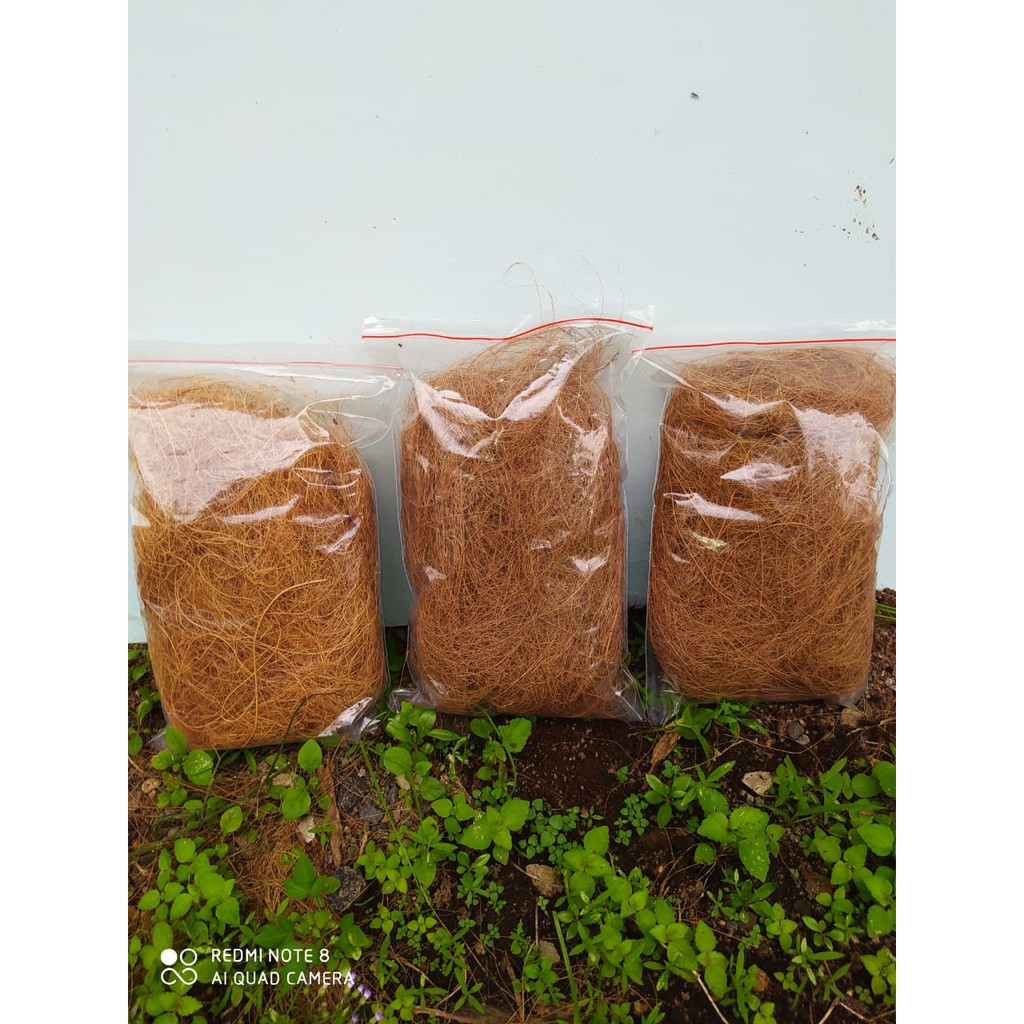 Jual Coco Fiber Sabut Kelapa Media Tanam Supplier Cocofiber Kg