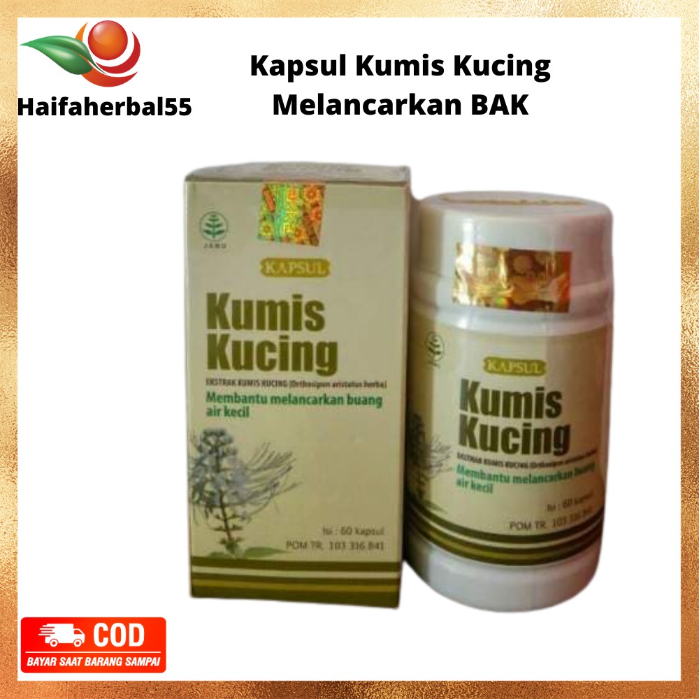 Jual Daun Kumis Kucing Herbal Tazakka Isi Kapsul Terapy Infeksi