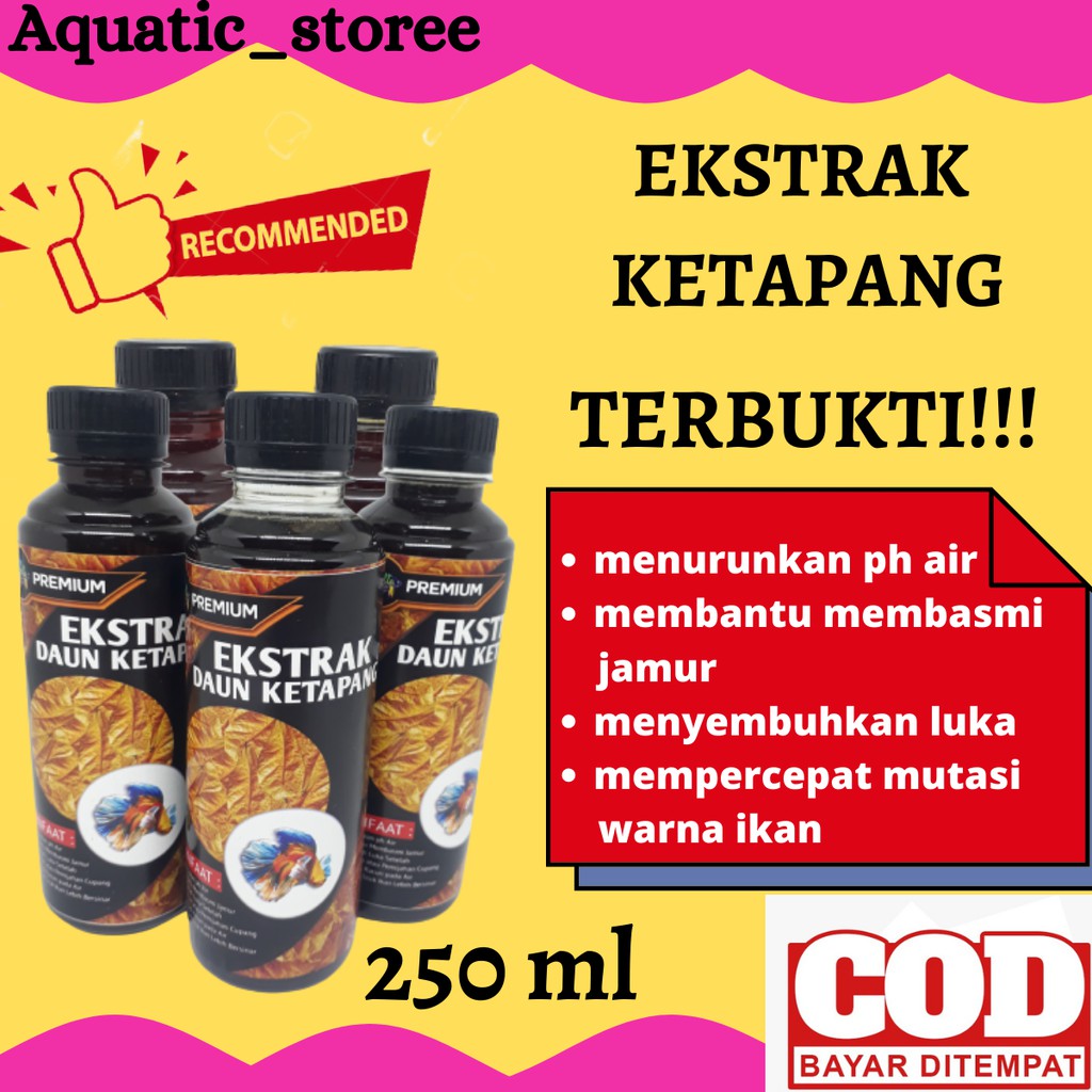 Jual Ekstrak Daun Ketapang Kering Obat Ikan Hias Ikan Cupang Ikan Koi