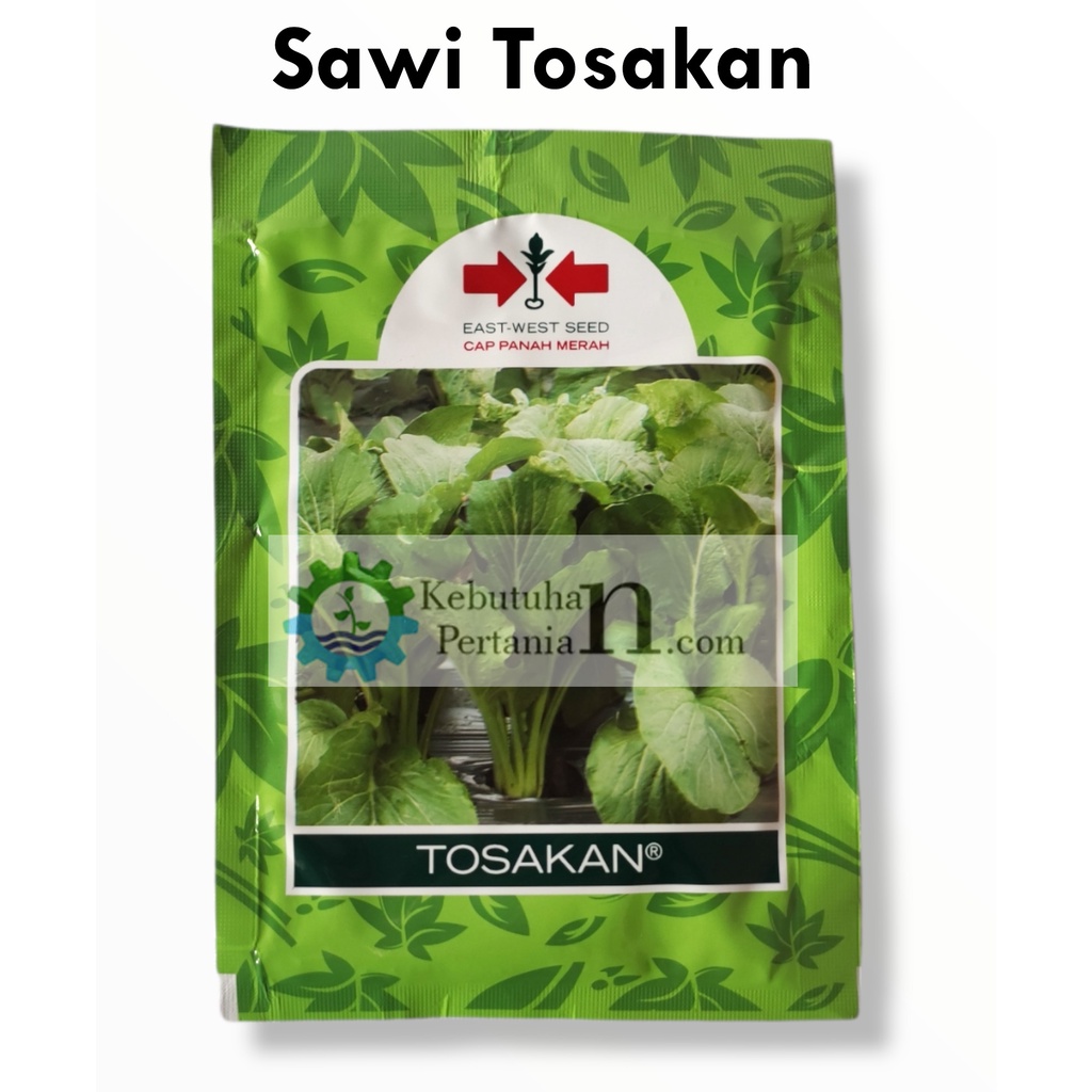 Jual Benih Sawi Caisim Tosakan Panah Merah Shopee Indonesia