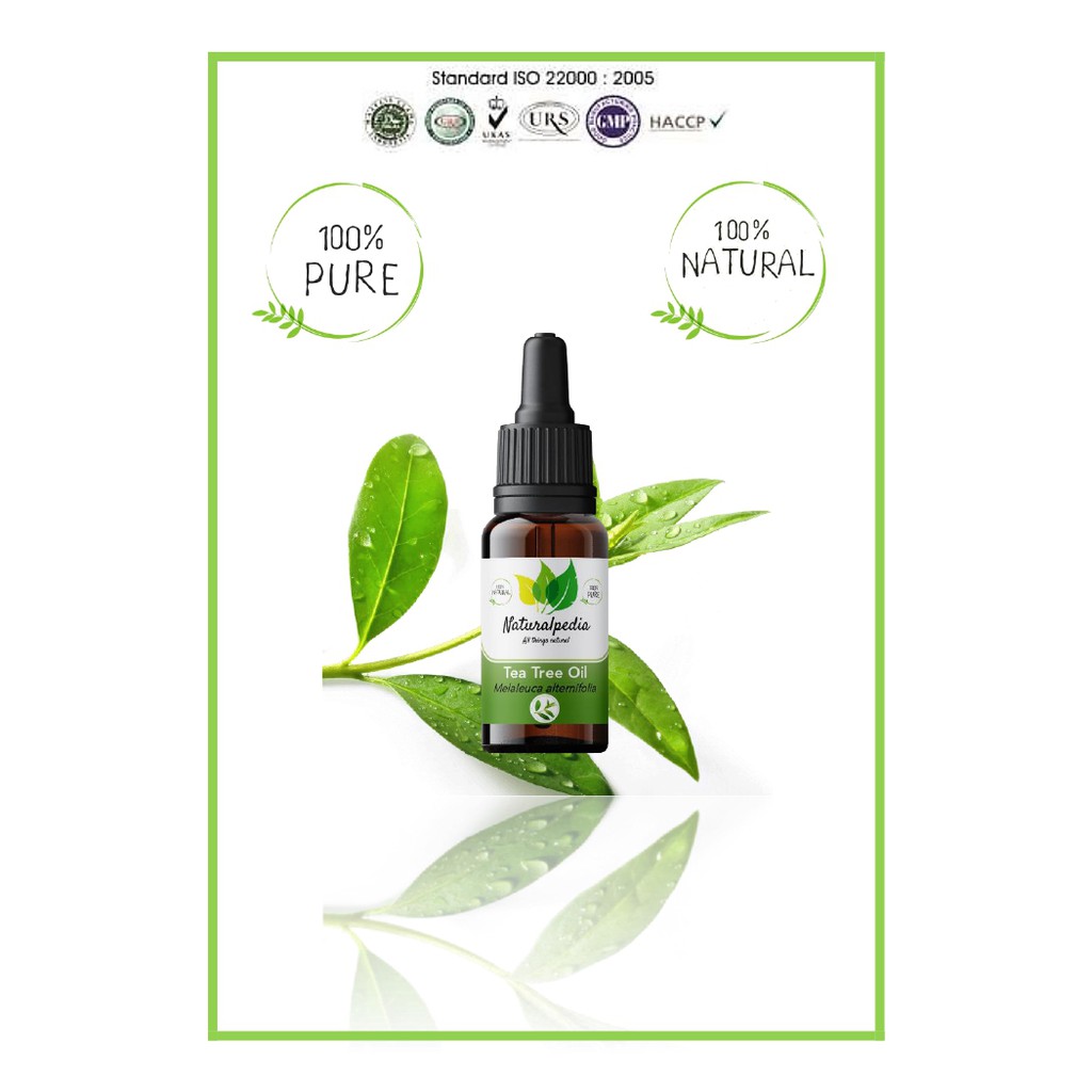 Jual Pure Tea Tree Essential Oil Minyak Esensial Atsiri Teatree Murni