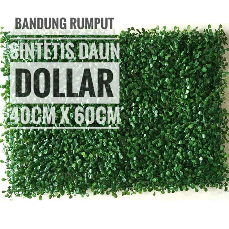 Jual Daun Dollar Daun Dinding Vertical Garden Daun Rambat Shopee