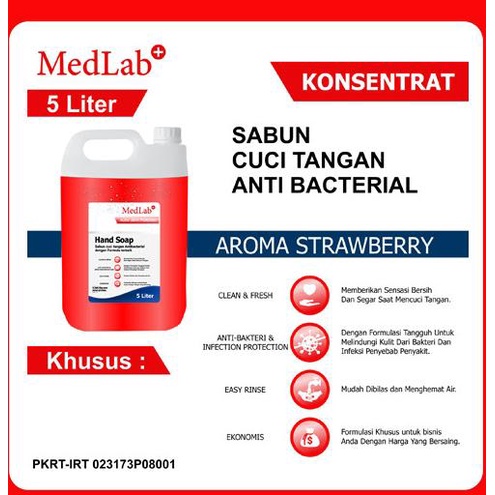 Jual Hand Soap Sabun Cuci Tangan Medlab Konsentrat 5 Liter Shopee