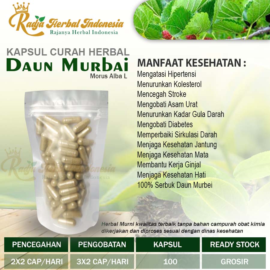 Jual DAUN MURBEI 100 Kapsul Curah Herbal Stroke Anemia Mata Kanker