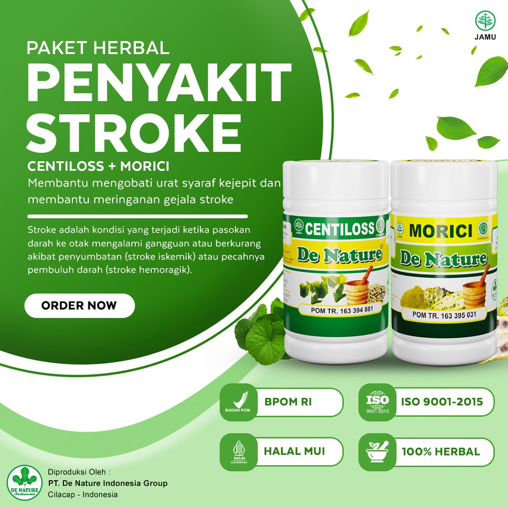 Jual Obat Stroke Obat Stroke Ringan Stroke Berat Hipertensi