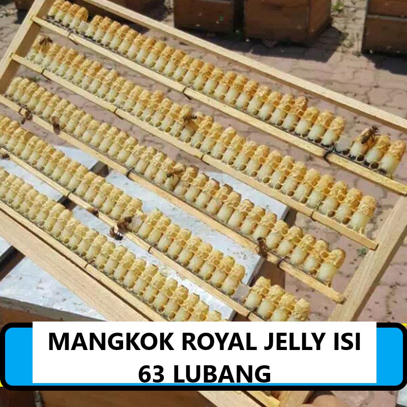 Jual Mangkuk Ratu Lebah Apis Cerana Apis Melifera Mangkuk Royal Jelly