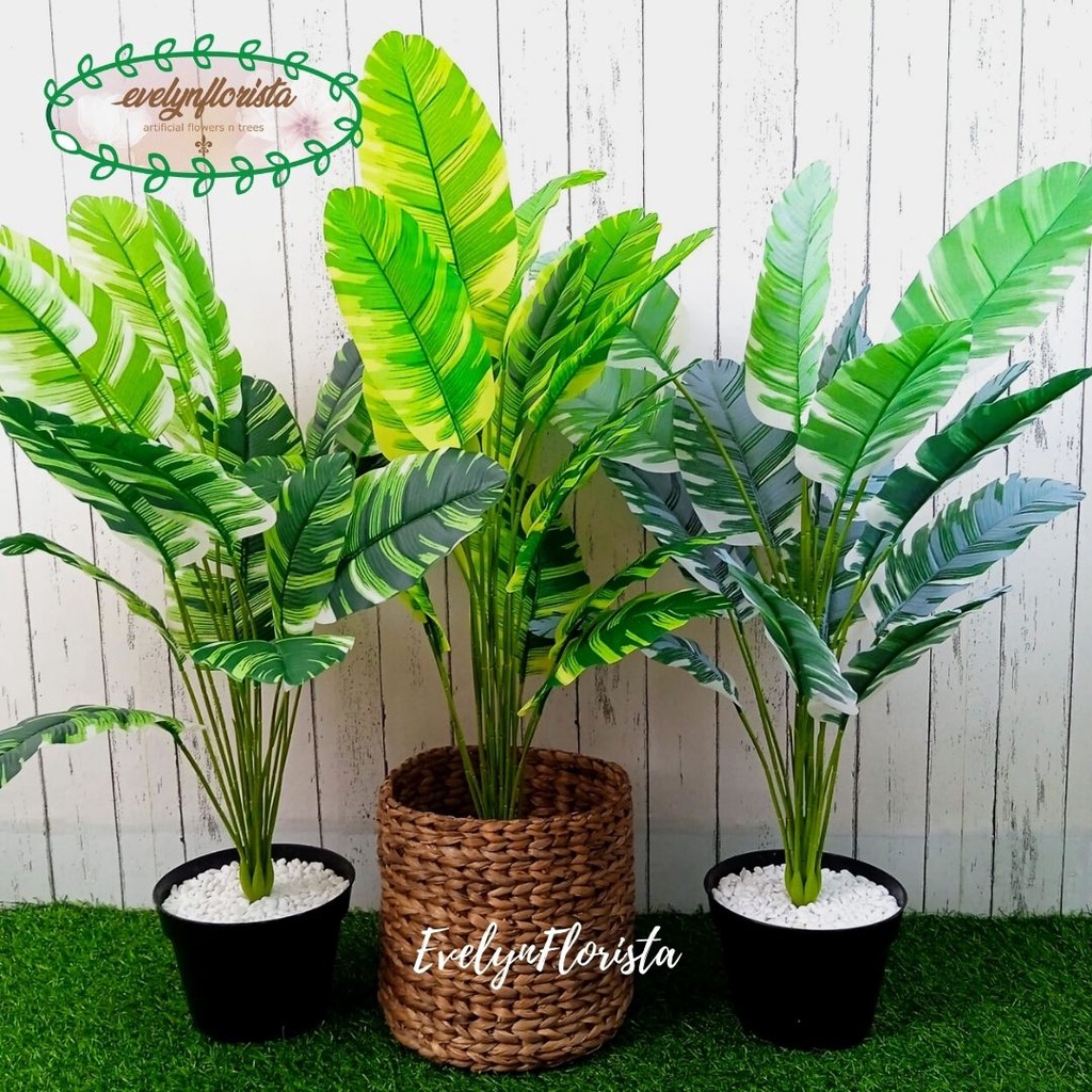 Jual Pohon Daun Musa Florida X Semi Latex Artificial Pot Dasar Cover