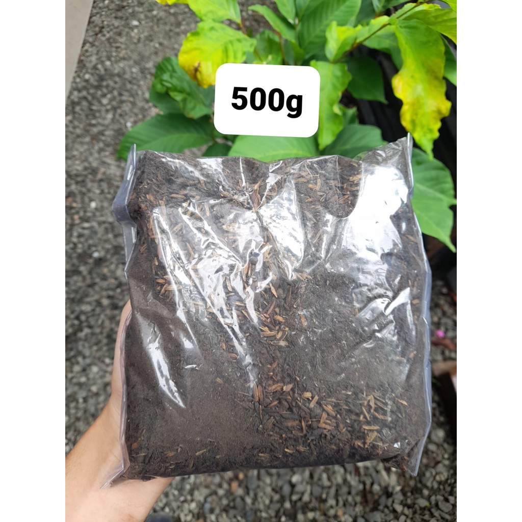 Jual Media Tanam Organik Tanah Subur Siap Pakai Dengan Repack 500g