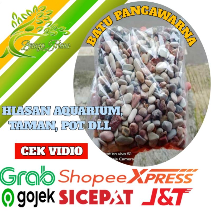 Jual BATU ALAM PANCA WARNA PANCAWARNA 1KG BATU HIAS DEKORASI TAMAN