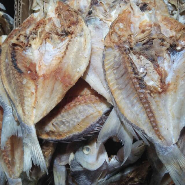 Jual Fcw Ikan Asin Samge Belah Gram Shopee Indonesia