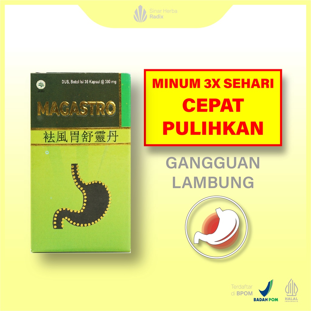 Jual Magastro Qu Fe Su Wei Lin Dan Obat Herbal Lambung Maag