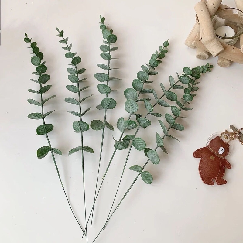 Jual Daun Eucalyptus Satuan Panjang Winter Shopee Indonesia