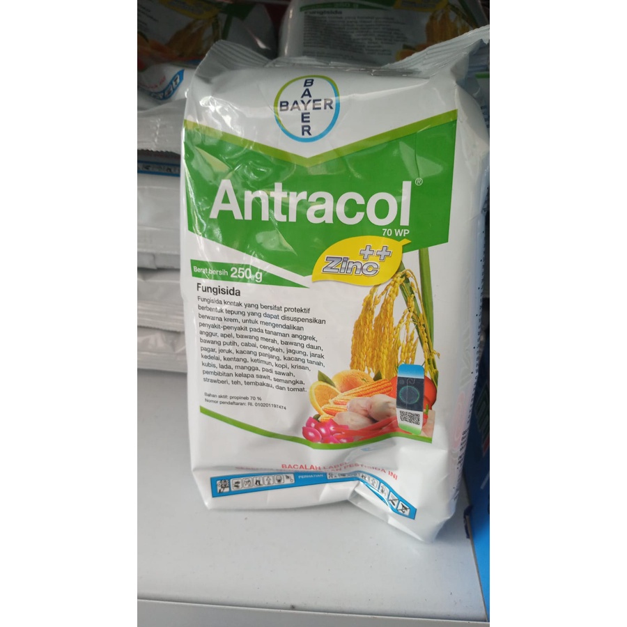 Jual Antracol Wp Gr Fungisida Kontak Shopee Indonesia