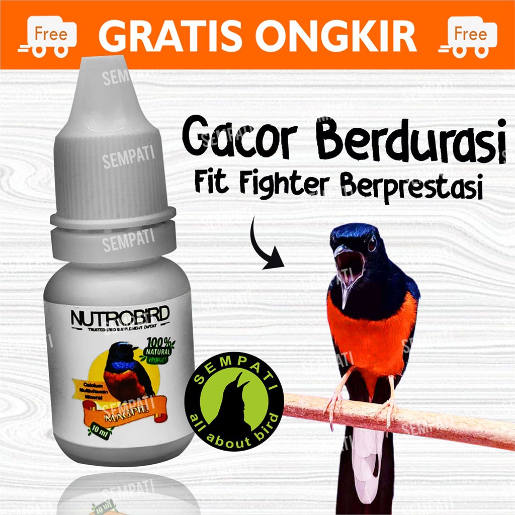 Jual Nutrobird Murai Starling Vitamin Obat Penggacor Burung Murai Batu