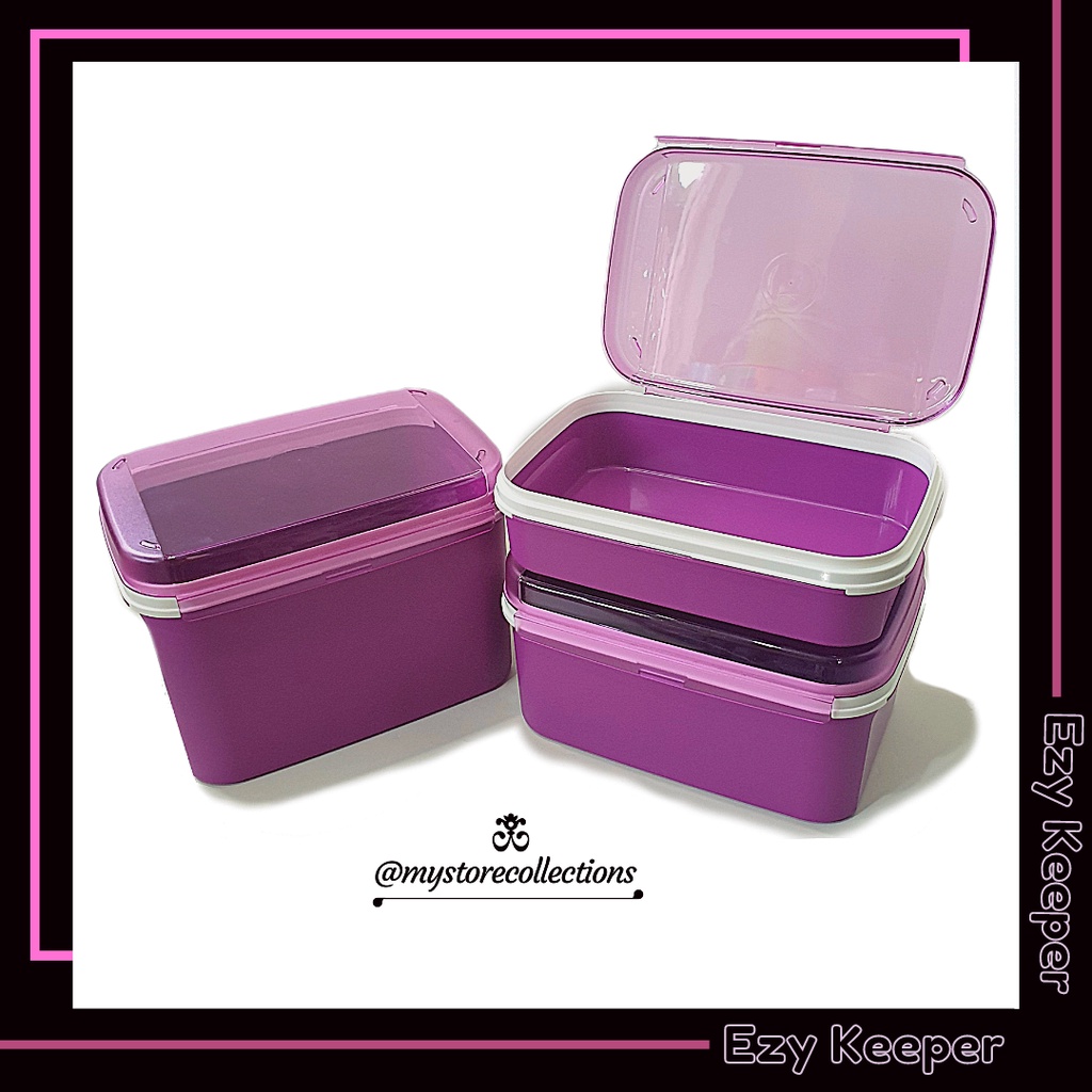 Jual Signature Rectangular Ezy Keeper L Toples Kotak Tupwr