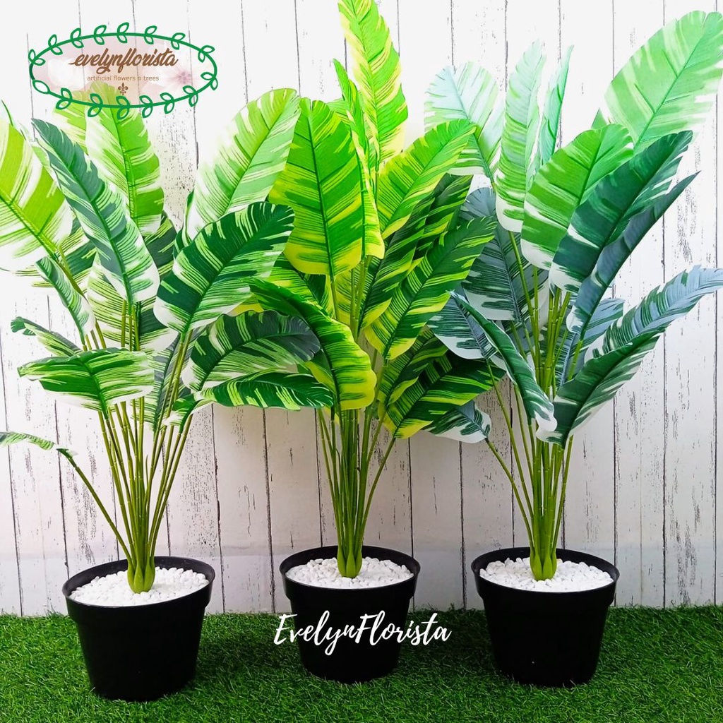 Jual Pohon Artificial Pohon Plastik Musa Florida X Semi Latex Pot