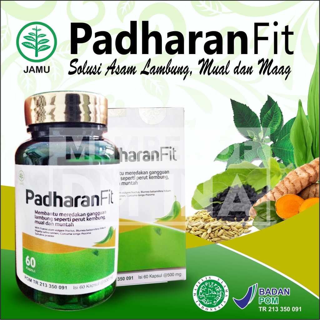 Jual 100 ORIGINAL PADHARAN FIT HERBAL ALAMI SOLUSI UNTUK ASAM