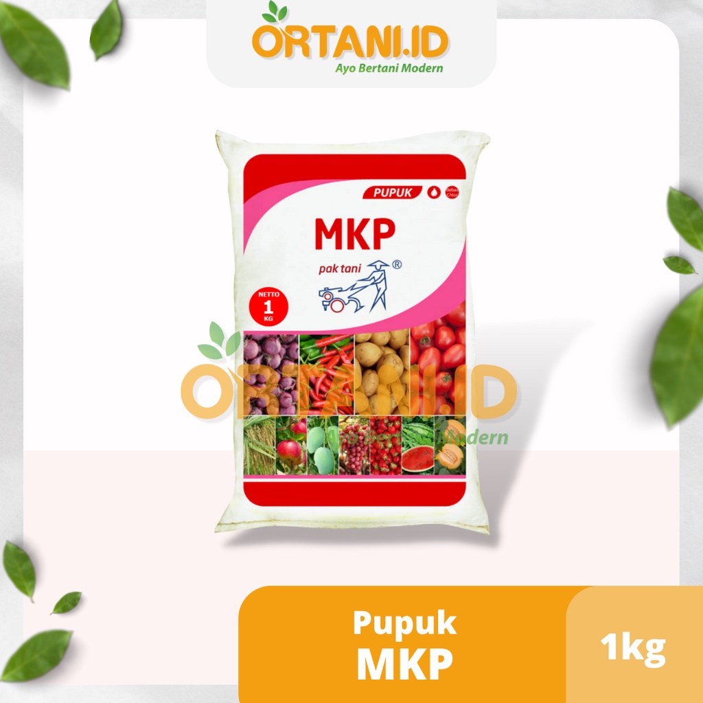 Jual Pupuk Mkp Pak Tani Mono Kalium Phosphate Original Kemasan Pabrik