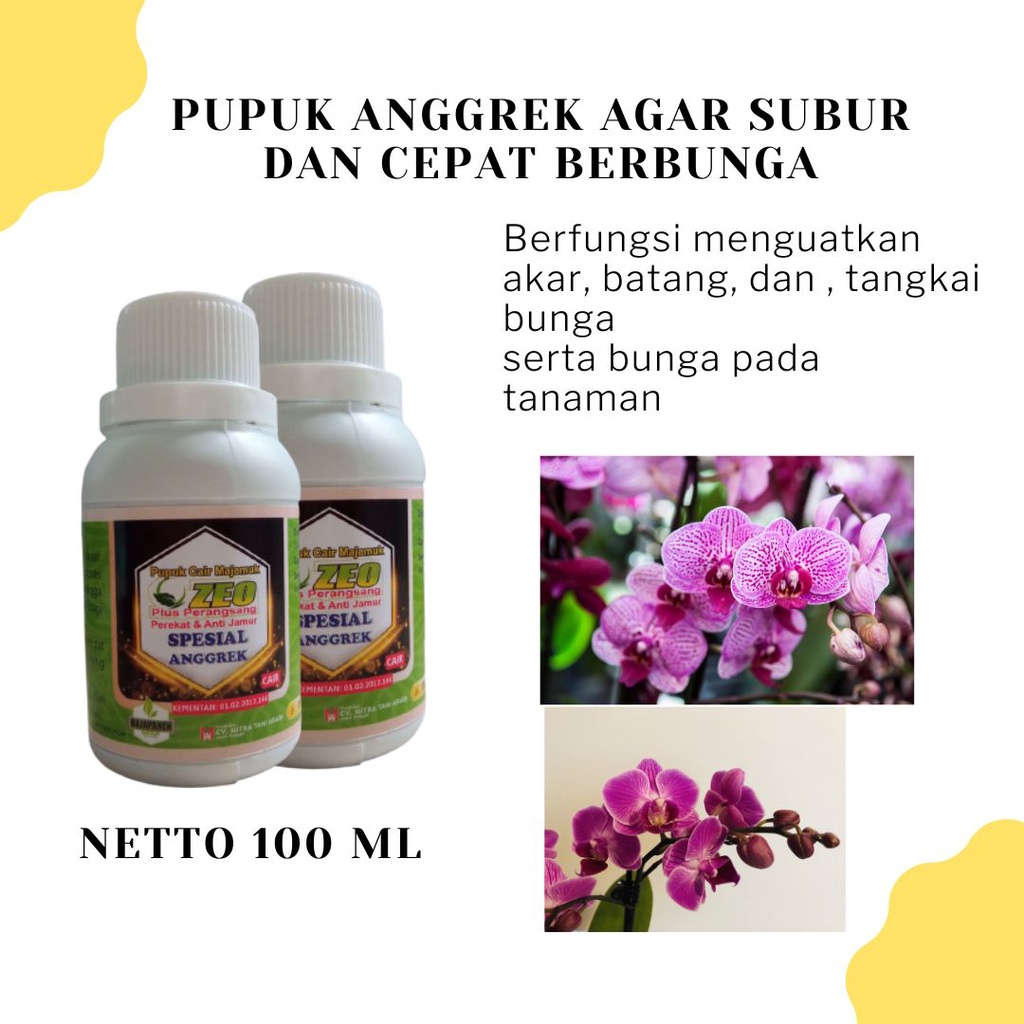 Jual Pupuk Anggrek Agar Subur Dan Cepat Berbunga Nava Grow Nutrisi