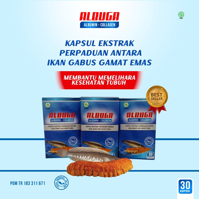 Jual Albuga Kapsul Albumin Collagen Ekstrak Minyak Ikan Gabus Plus