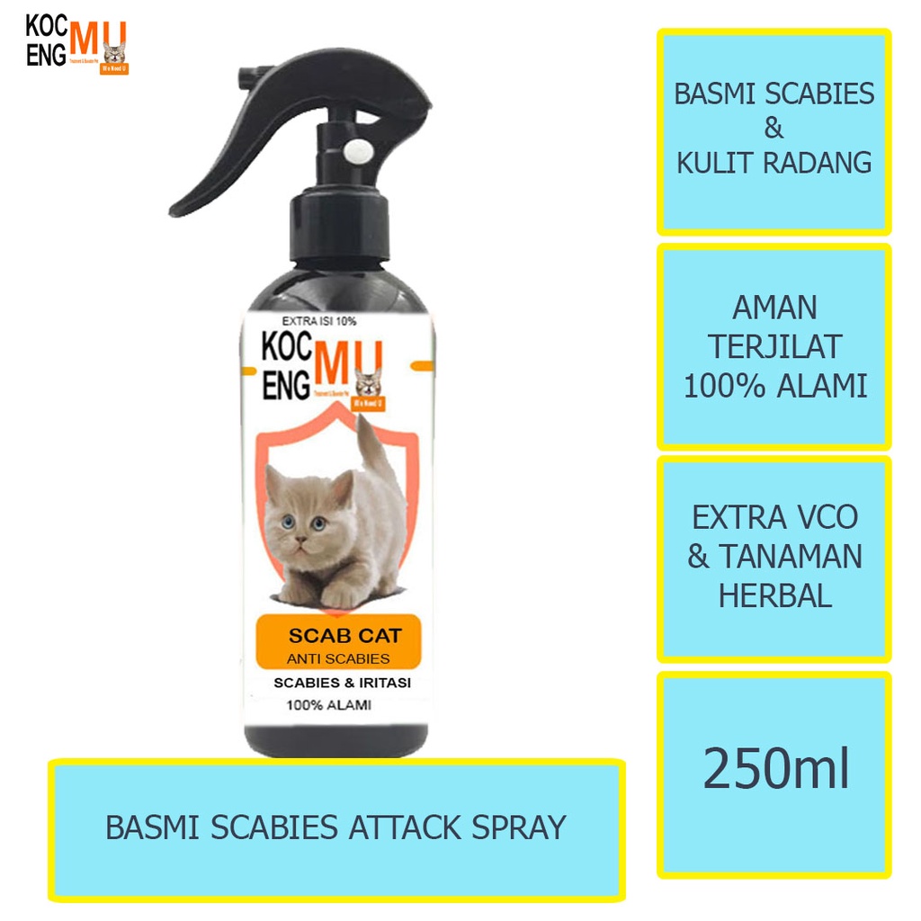 Jual Obat Scabies Kucing Kitten Dewasa Spray Scabies Kucing Semprot