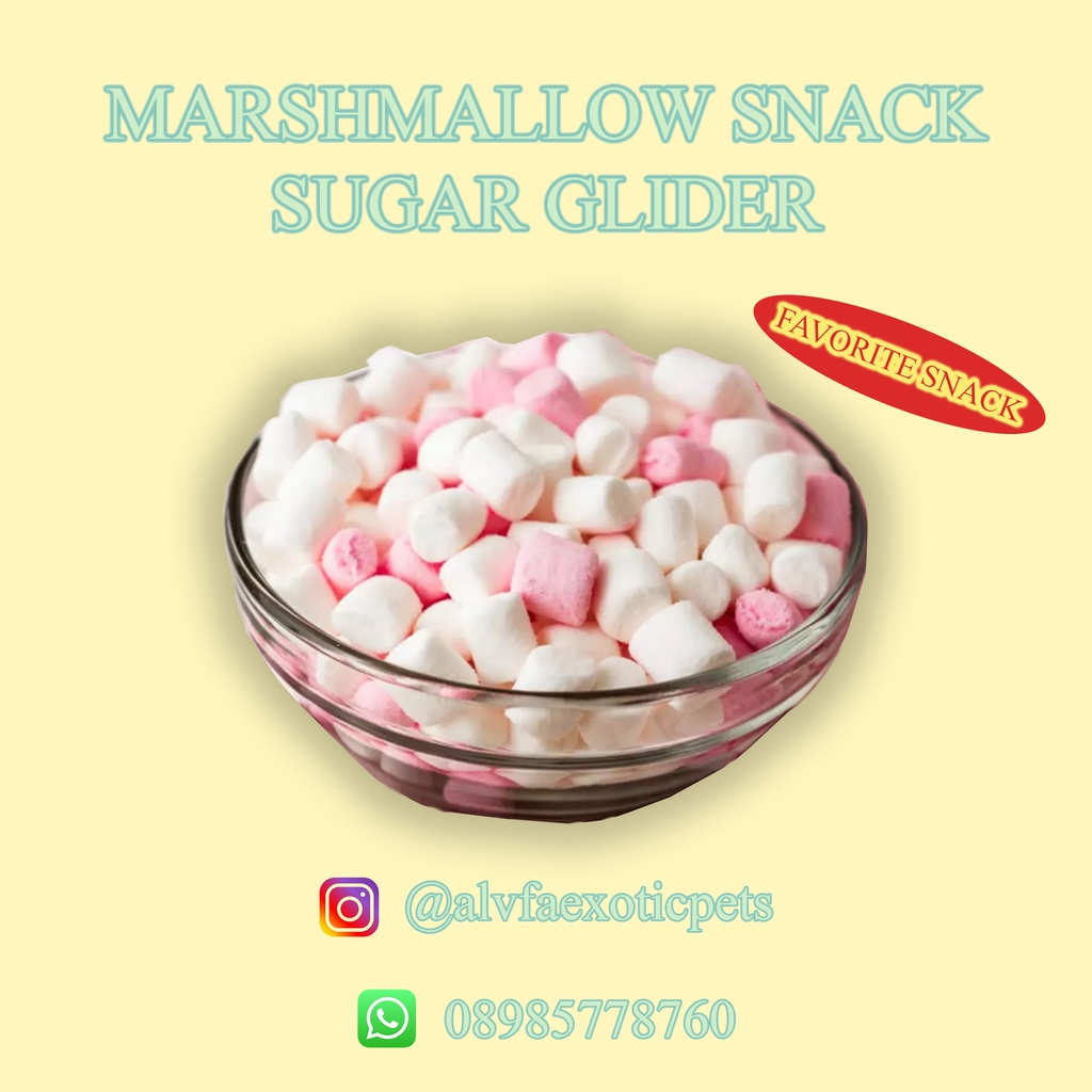 Jual Marshmallow Snack Sugar Glider Hamster Cemilan Favorit Shopee