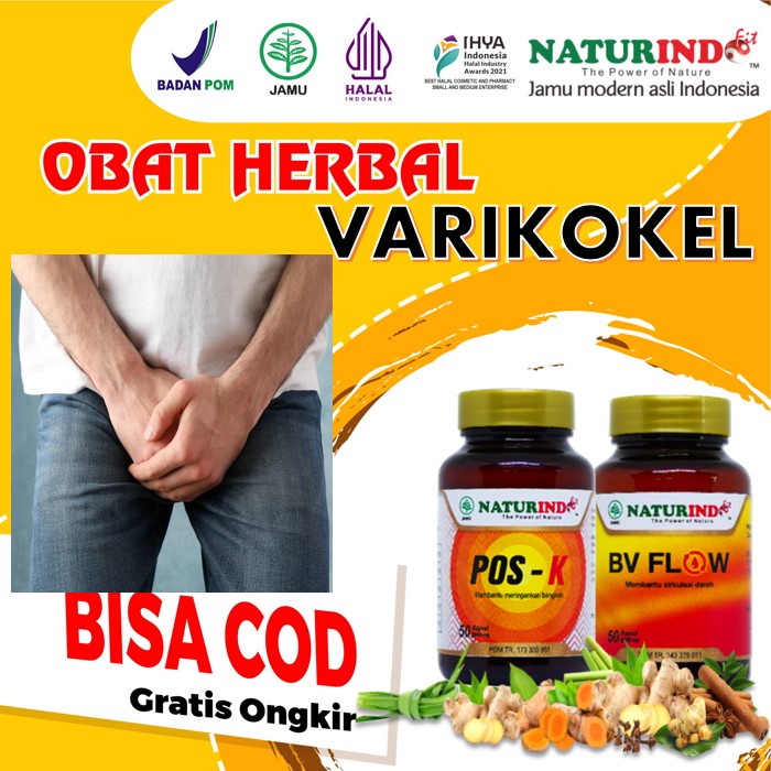 Jual Obat Varikokel Buah Zakar Bengkak Nyeri Testis Turun Berok Hernia