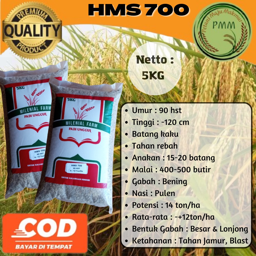 Jual Bibit Padi Unggul Benih Padi HMS 700 5kg Shopee Indonesia