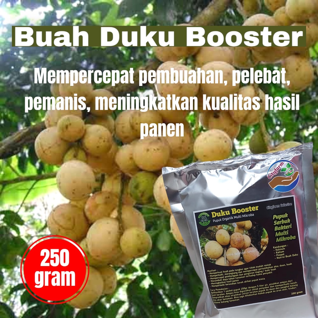 Jual Pupuk Organik Booster Buah Duku Super Cepat Berbuah Lebat Gr