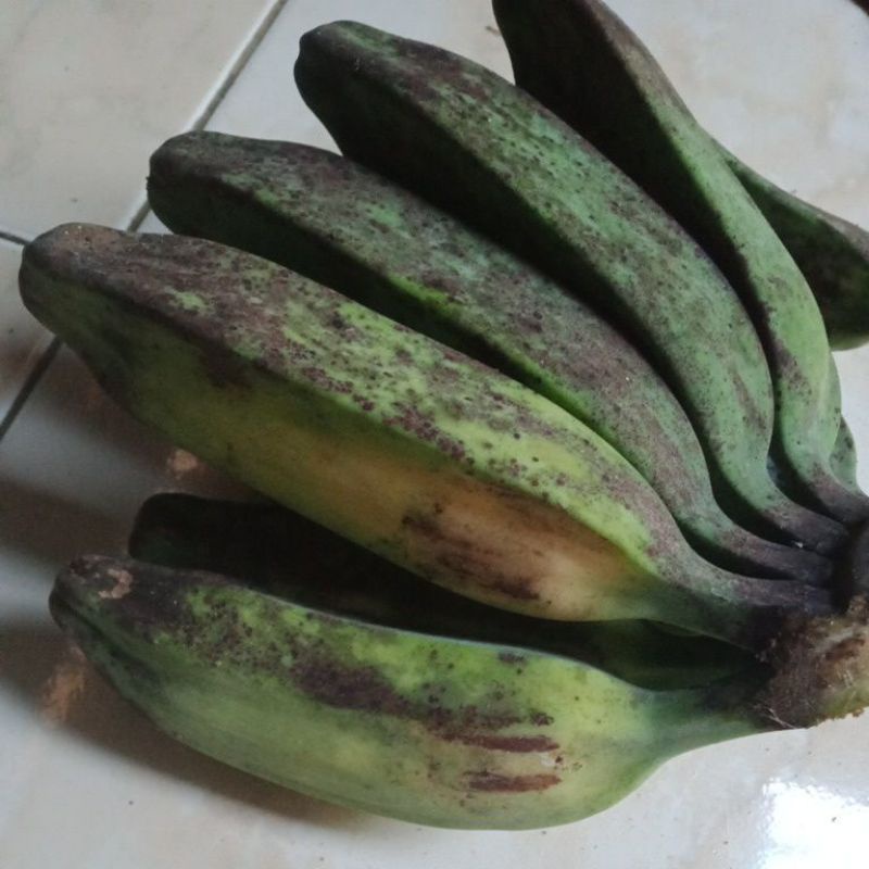 Jual Buah Pisang Kepok Tua Mentah Mengkal Mau Matang Shopee Indonesia