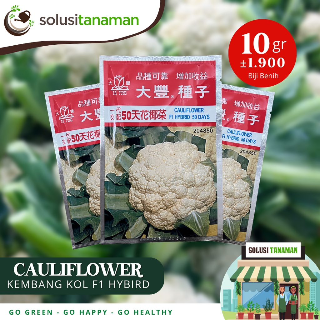 Jual Benih Bunga Kol Cauliflower Days Gr Biji Bibit