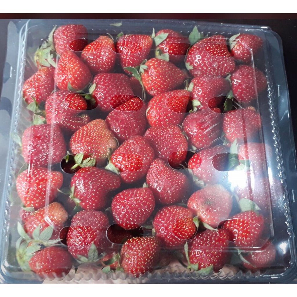 Jual Buah Strawberry Fresh Dari Kebun Premium Grade A Kemasan Gr