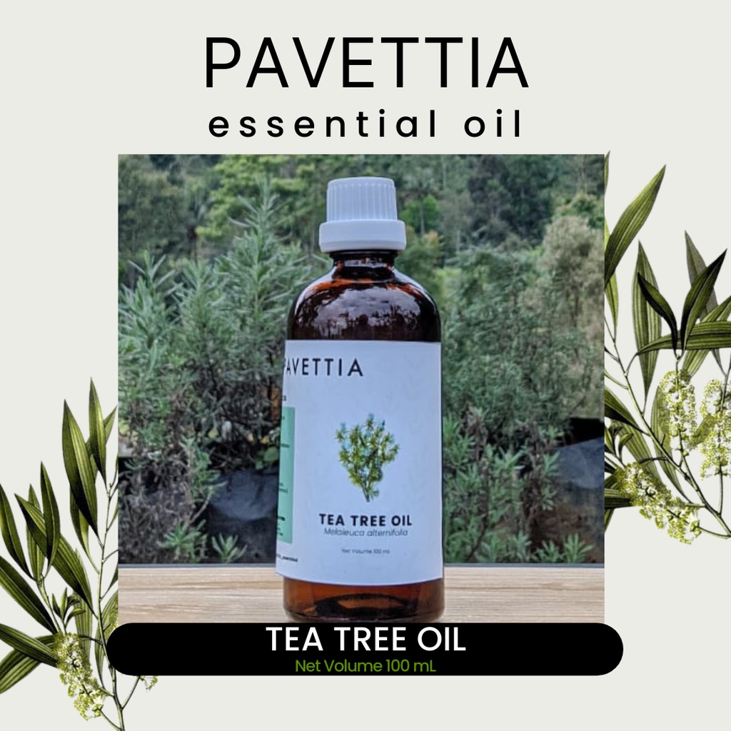 Jual 100 Ml Tea Tree Oil Minyak Atsiri Tea Tree Melaleuca