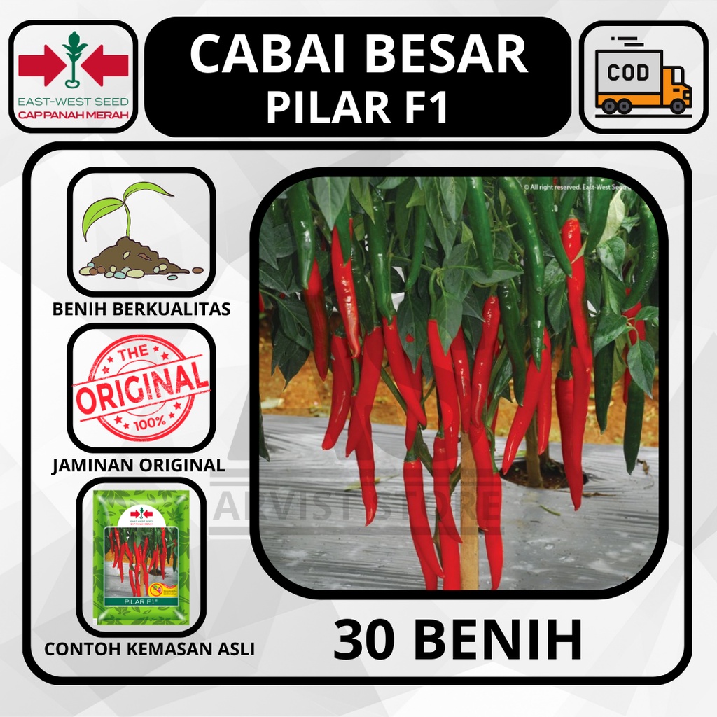 Jual Butir Benih Cabai Merah Besar Pilar F Hibrida Cap Panah