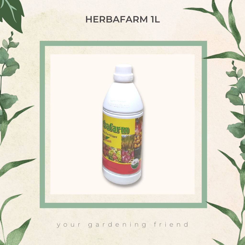 Jual Herbafarm Original Liter Shopee Indonesia