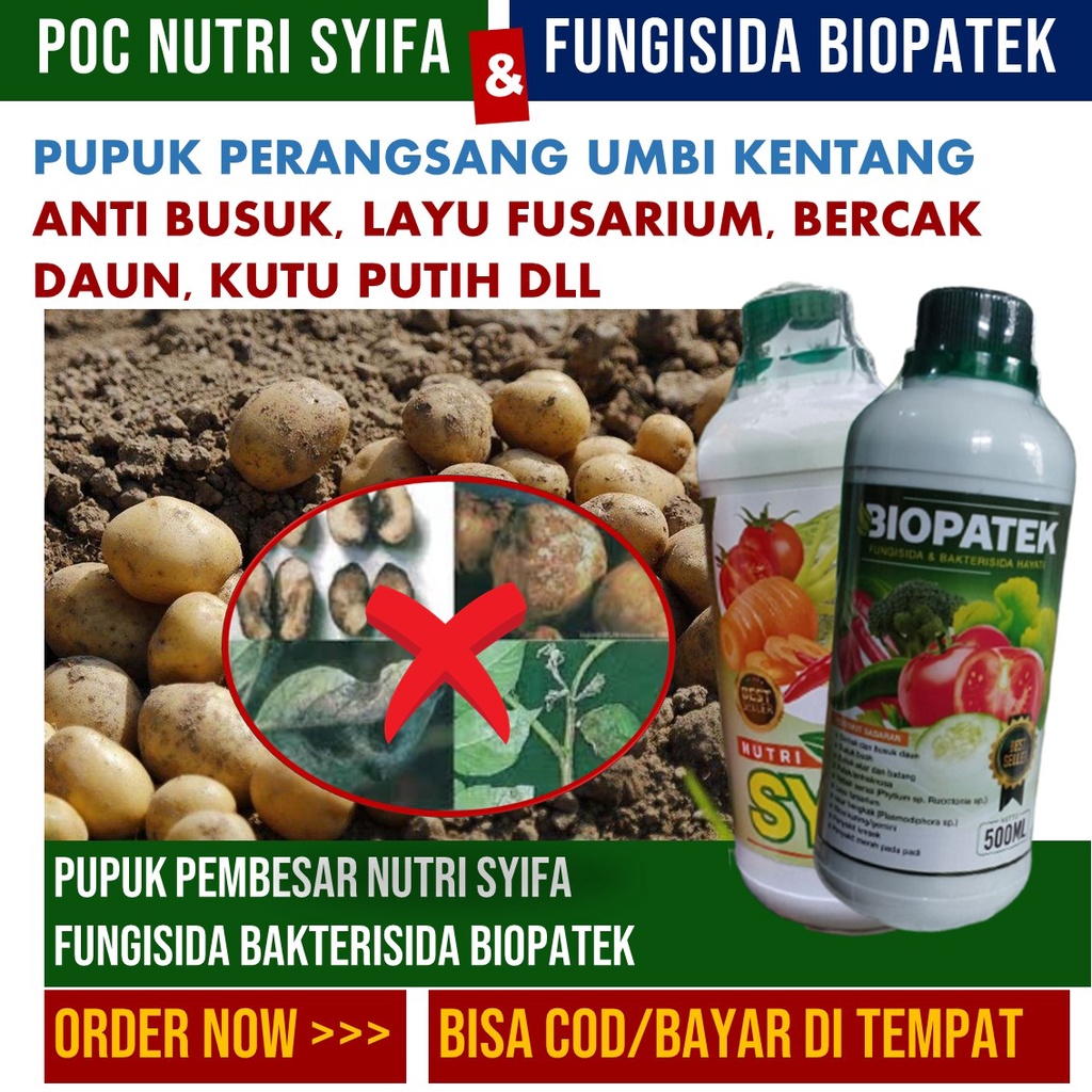 Jual Terlaris Fungisida Biopatek Dan Nutri Syifa Obat Melebatkan