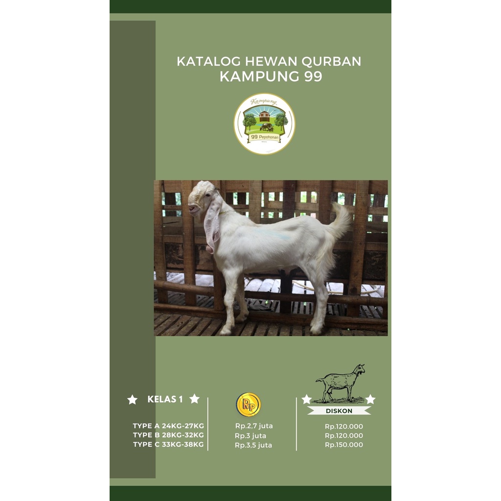 Jual Hewan Qurban Kambing Type A Shopee Indonesia